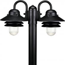 Progress P5493-31 - Newport Collection Non-Metallic Two-Light Post Lantern