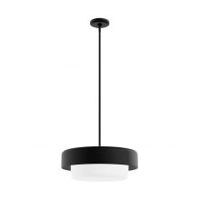 Hunter 19273 - Hunter Station Natural Black Iron with Frosted Cased White Glass 3 Light Pendant Ceiling Light